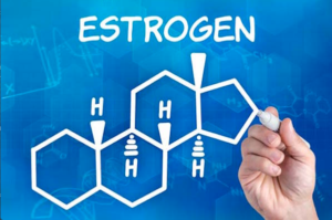 estrogenio 300x199 - Como Melhorar a qualidade dos ovos